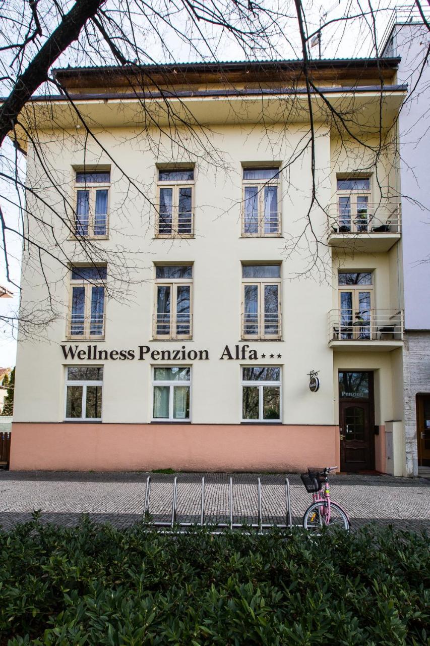 Alfa Guest house 3*