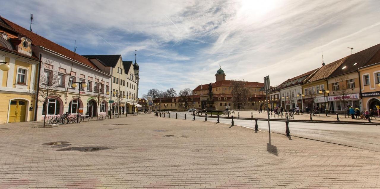 Alfa Guest house Podebrady